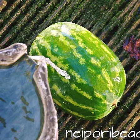 Kallisti B&B 3*